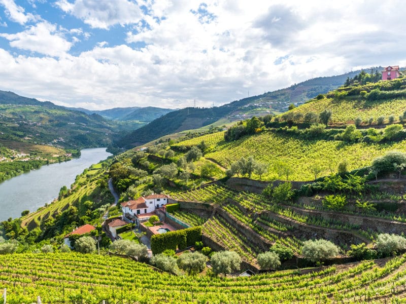 Duero intro bike tour