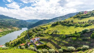 Duero intro bike tour