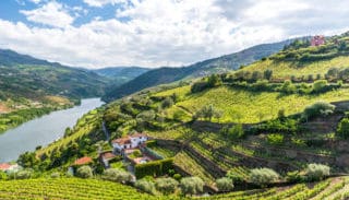 Duero intro bike tour