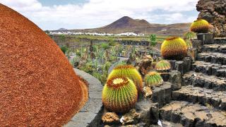 mtb tour lanzarote