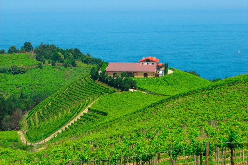 visit-txakoli-bodega-getaria